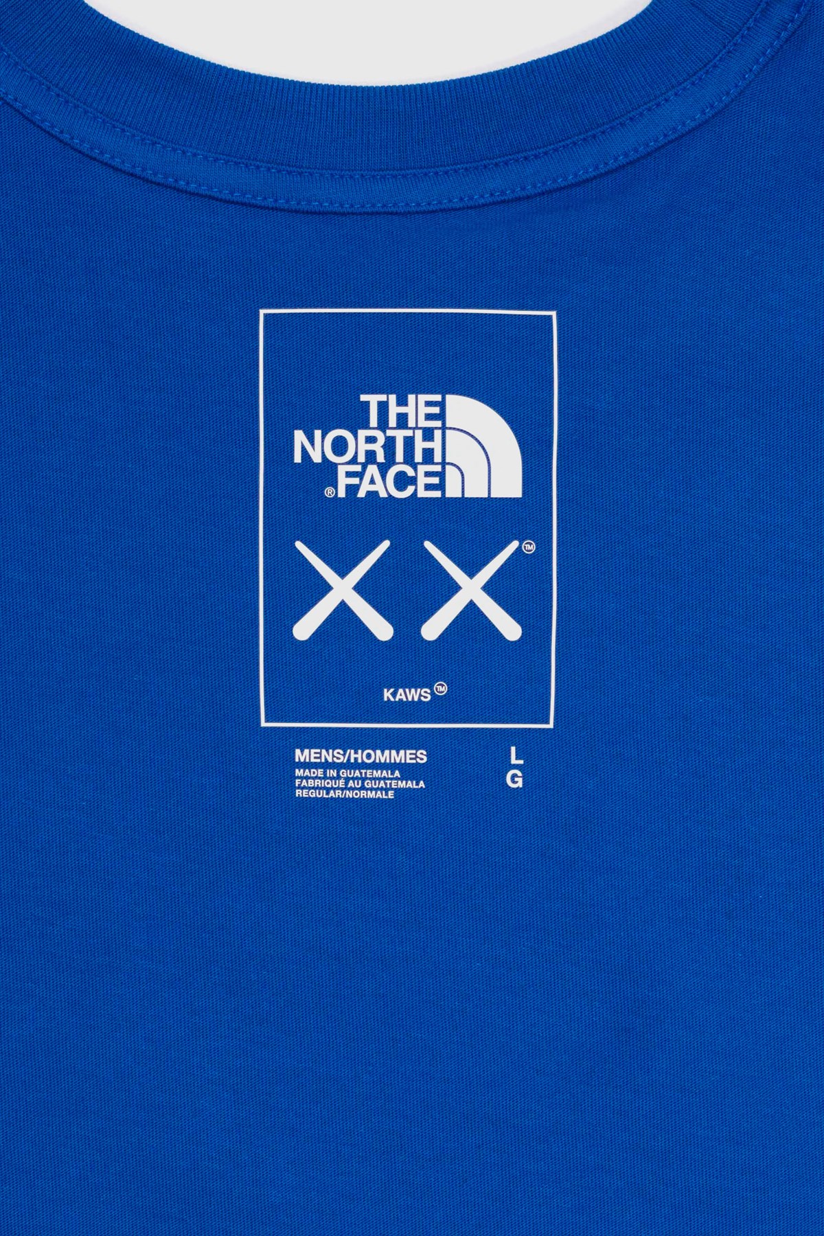 THE NORTH FACE XX KAWS TEE  BOLT BLUE
